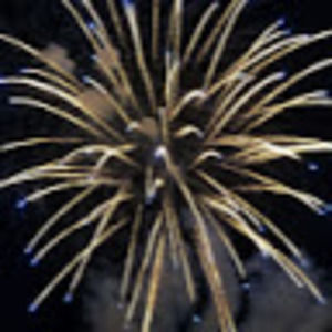 Meet your Posher, Dan